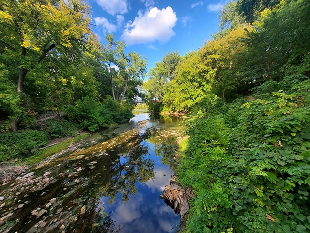 A narrow river with algae and leaves is surrounded by bright green trees and bushes. In the distance, a bridge sits above the creek with blue sky and clouds in the background. 
